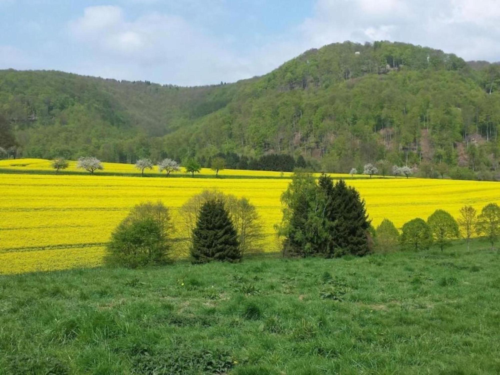 Spacious Apartment In Weser Uplands With Garden บัดเพอร์ทอนท์ ภายนอก รูปภาพ