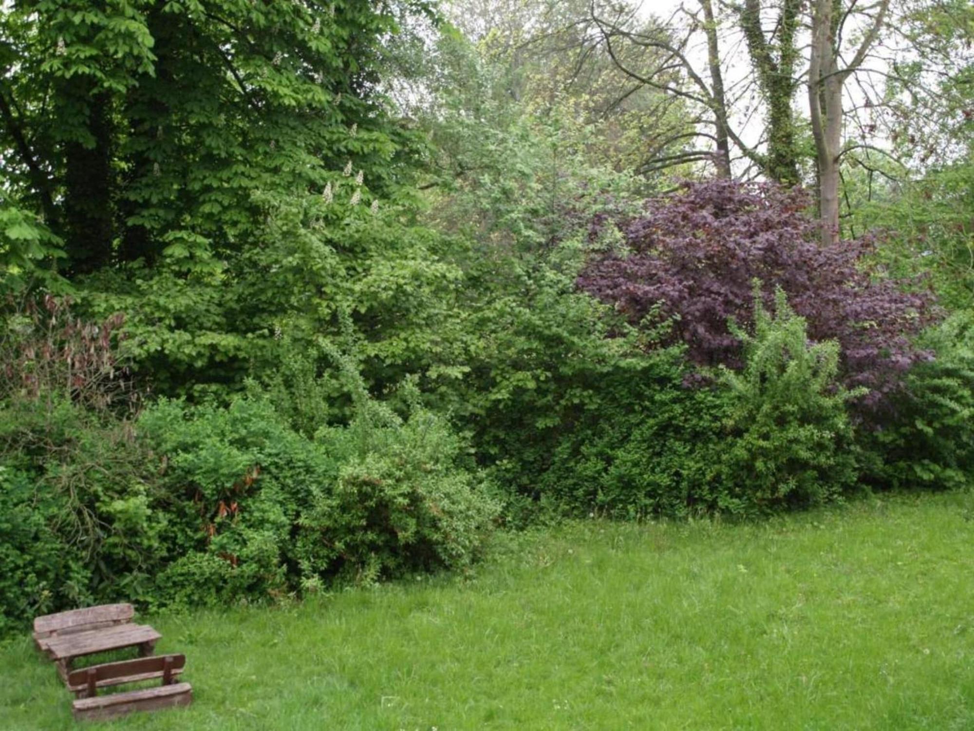 Spacious Apartment In Weser Uplands With Garden บัดเพอร์ทอนท์ ภายนอก รูปภาพ